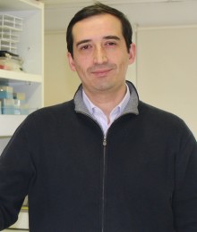 Guillermo Lay-Son