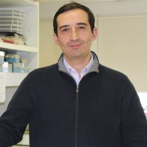 Guillermo Lay-Son