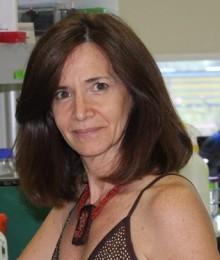 Sonia Margarit