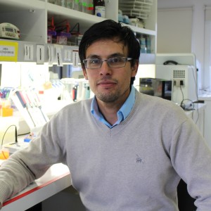 Eduardo Durán