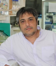 Marcelo Ezquer, PhD