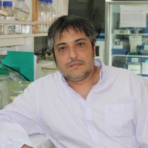 Marcelo Ezquer