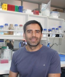 Benjamín Erranz, PhD