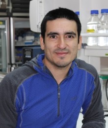 Cristian De Gregorio, PhD