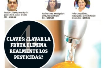 ¿Lavar la fruta elimina realmente los pesticidas?