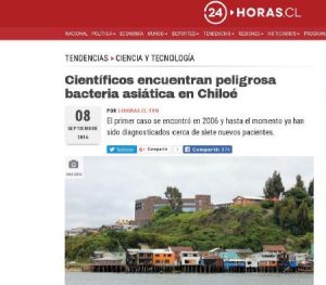 Científicos encuentran peligrosa bacteria asiática en Chiloé