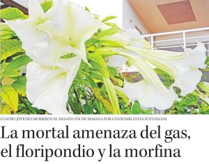 La mortal amenaza del gas, el floripondio y la morfina - Diario Concepción 25 de marzo 2015