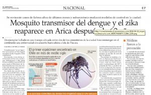 Mosquito Zika en Arica