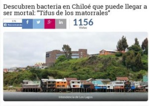 Descubren bacteria en Chiloé que puede llegar a ser mortal