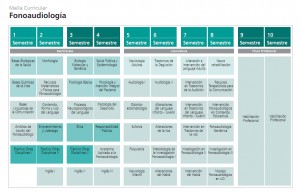 malla fonoaudiologia