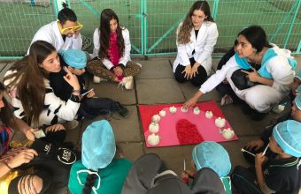 Futuros odontólogos enseñan prevención en salud oral a niños de Peñalolén