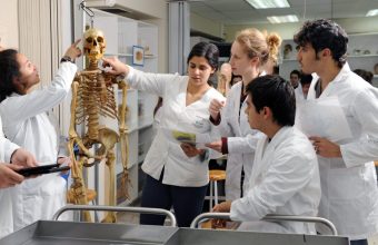 Medicina UDD primera en Chile según el Shanghai Ranking by Subject – Clinical Medicine 2019