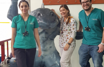 Odontología UDD realiza voluntariado con discapacitados