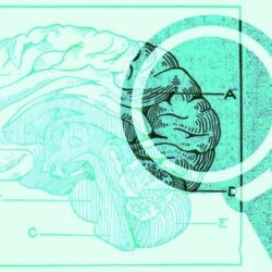 Centro de Desarrollo Educacional presenta resultados parciales de investigación sobre la enseñanza del razonamiento clínico