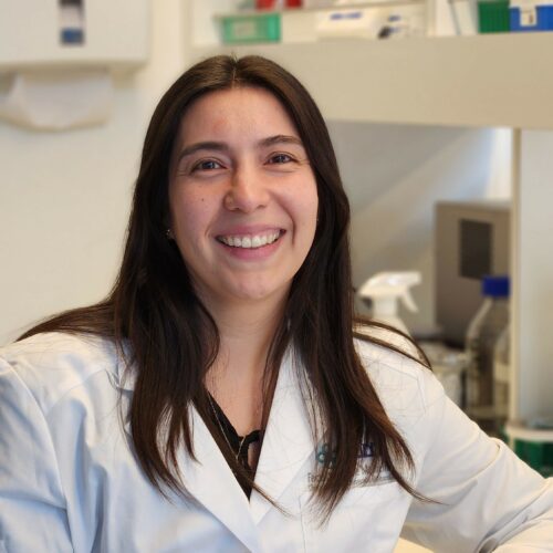 UDD participa en proyecto interuniversitario que explora nuevas terapias contra la leucemia infantil a partir de bacterias antárticas
