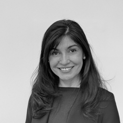 Sonia Roa Alcaíno