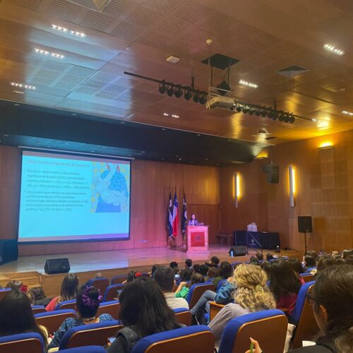 Investigadoras UDD participaron en el III Congreso Internacional de Lactancia Materna con aportes clave sobre vínculo y salud en el postparto