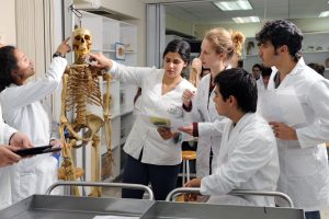 Carrera de Medicina