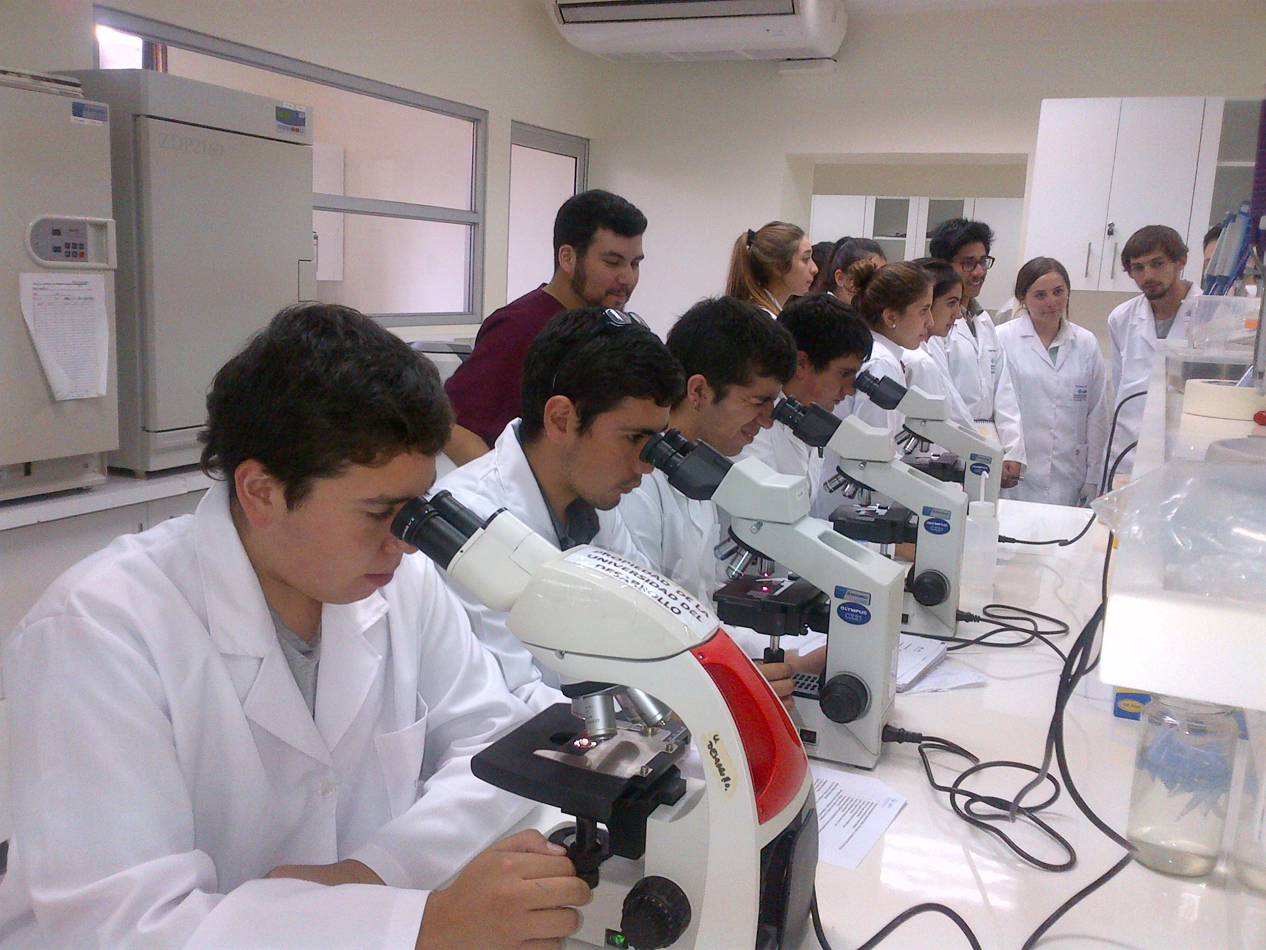 Estudiantes 1er año realizaron práctico en Laboratorio Clínico - Tecnología  Médica